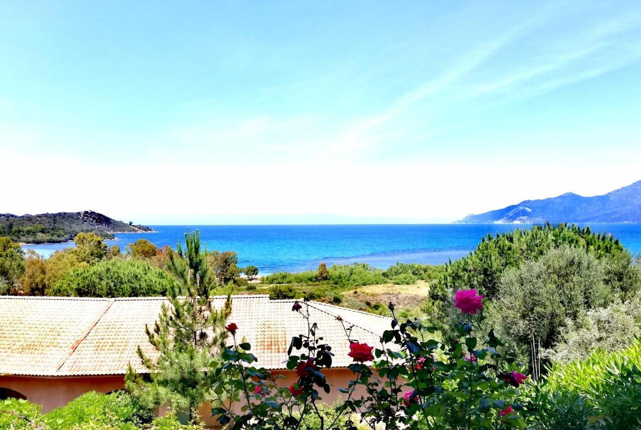 Residence Suarella Saint-Florent  Exterior photo